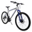 Bicicleta BENOTTO Montaña XC-5000 R26 21V. Plata/Azul