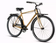 BICICLETA MERCURIO MOD. COMF LONDON R700 1V