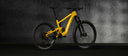 SANTA CRUZ HECKLER SL R