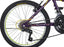 Bicicleta BENOTTO Montaña MELODY R20 21V. Morado/Verde Claro Neon